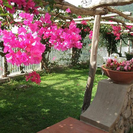 Bouganville Home Vietri المظهر الخارجي الصورة
